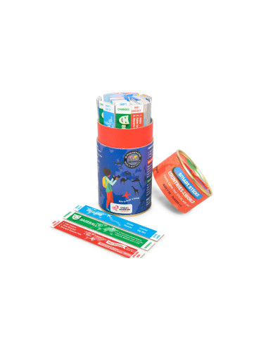 Joc Smart Sticks - Tari,CCPPL061