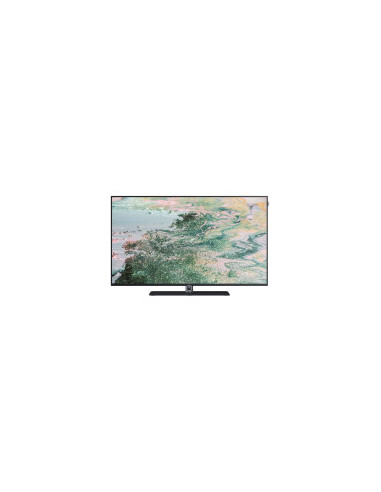 LOEWE TV 48'' Bild I dr+, SmartTV, 4K Ultra, OLED HDR, 1TB HDD