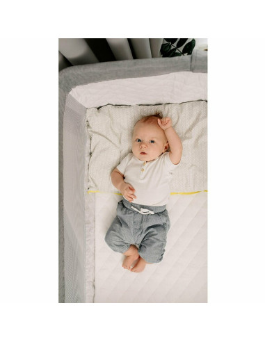 BN-LO-THEO_Grey,Lionelo - Patut co-sleeper Theo 2 in 1, Cu setare unghiulara, Reglabil in 5 pozitii pe inaltime, Conform cu stan