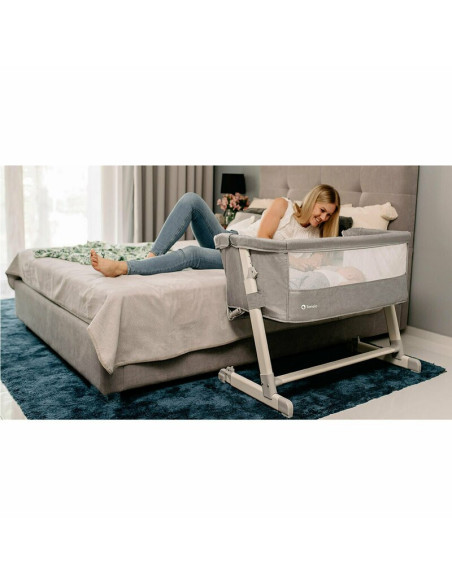 BN-LO-THEO_Grey,Lionelo - Patut co-sleeper Theo 2 in 1, Cu setare unghiulara, Reglabil in 5 pozitii pe inaltime, Conform cu stan