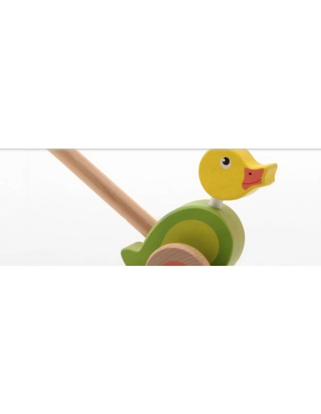 BN-80045,Joueco - Jucarie din lemn Ratusca, De impins, Cu tija, 12 luni+, Multicolor