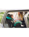 BN-LO-SANDER_GREY,Lionelo - Scaun auto Sander Spatar reglabil, Forward-Facing sau Rear-Facing, Pozitie de somn, 0-36 Kg, Cu Isof
