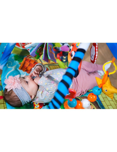 BN-LOE-AGNES,Lionelo - Salteluta educationala interactiva Agnes, Cu jucarii, Conform cu standardul european de securitate EN71, 