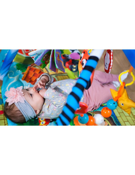 BN-LOE-AGNES,Lionelo - Salteluta educationala interactiva Agnes, Cu jucarii, Conform cu standardul european de securitate EN71, 