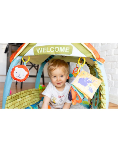 BN-LOE-AGNES,Lionelo - Salteluta educationala interactiva Agnes, Cu jucarii, Conform cu standardul european de securitate EN71, 