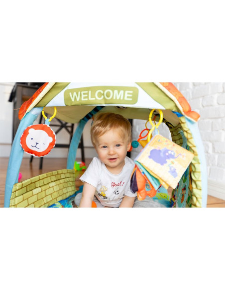 BN-LOE-AGNES,Lionelo - Salteluta educationala interactiva Agnes, Cu jucarii, Conform cu standardul european de securitate EN71, 