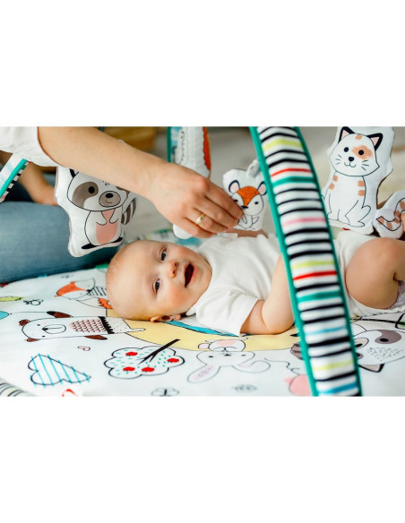 BN-LOE-PAULA,Lionelo - Salteluta interactiva Paula, Cu jucarii, Conform cu standardele de siguranta EN71, EN62115, Multicolor