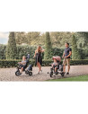 BN-LO-TRISCANDY_ROSE/GREY,Lionelo - Tricicleta Tris, Mecanism de pedalare libera, Suport picioare, Control al directiei, Scaun r