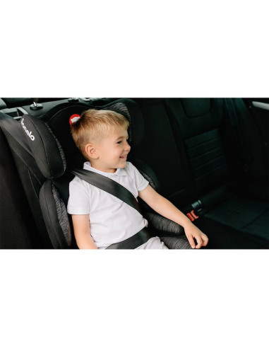 BN-LO-LARS_CANDY_PINK,Lionelo - Scaun auto Lars Candy Spatar detasabil, 15-36 Kg, Conform cu standardul european de securitate E