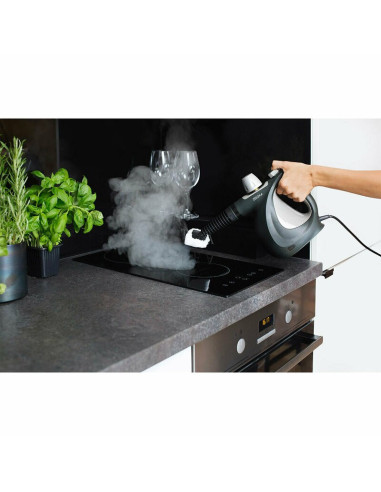BN-ZE-DRADEN,Zeegma - Aparat de curatat cu aburi, 350 ml, 1000 W, Draden, Negru