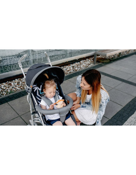 BN-LO-ELIA_GRAPHITE,Lionelo - Carucior sport Elia, Cu husa de picioare, Cu plasa de tantari, Conform cu standardul european de s