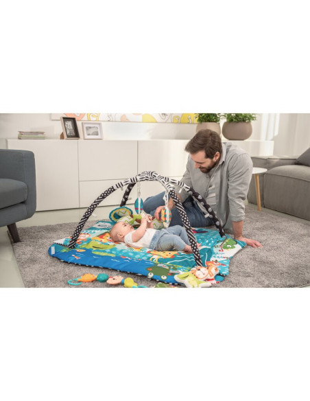 BN-LOE-ANIKA_PLUS_MULTICOLOR,Lionelo - Salteluta interactiva Anika Plus, Cu jucarii, Conform cu standardul european de securitat