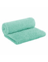 BN-BOC0109,Bocioland - Paturica pufoasa pentru copii, Din fleece, Dimensiune mare 80 x 100 cm, Mint
