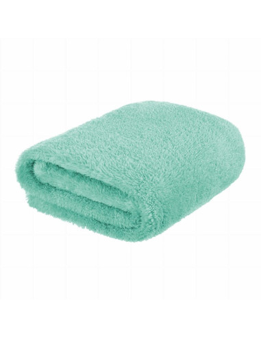 BN-BOC0109,Bocioland - Paturica pufoasa pentru copii, Din fleece, Dimensiune mare 80 x 100 cm, Mint