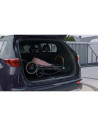BN-LO-ALEXIA_ PINK_ROSE,Lionelo - Carucior sport Alexia, 6 luni+, Cu geanta pentru parinti, Amortizoare, Suport pentru biberon/p