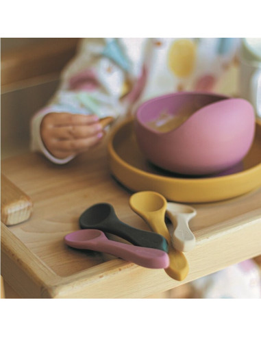 BN-707820,Petite&Mars - Bol din silicon fara BPA, Cu ventuza, TAKE&MATCH, 6 luni+, 350 ml, Roz