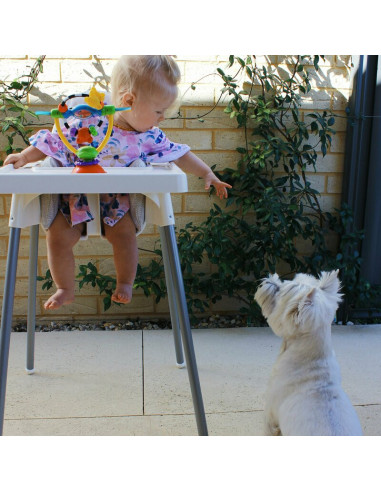 BN-64177,Jucarie pentru scaunul de masa, Cu ventuza, Cu activitati, Rotativa, High chair Spinning Toy, 19.5 cm, Playgro