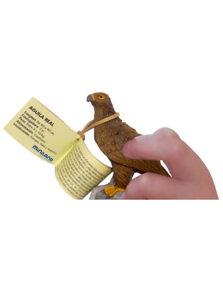 ML25126,Animale din padure Miniland 8 figurine