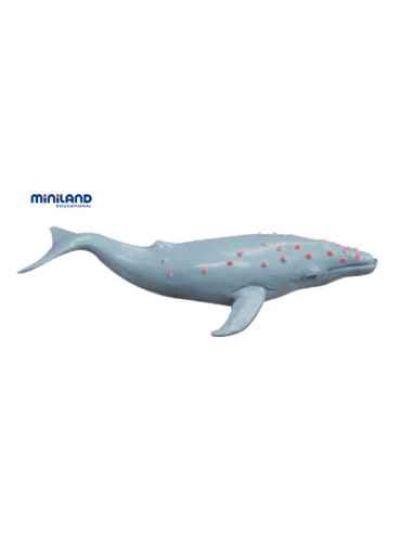 ML27460,Animale marine set de 8 figurine - Miniland