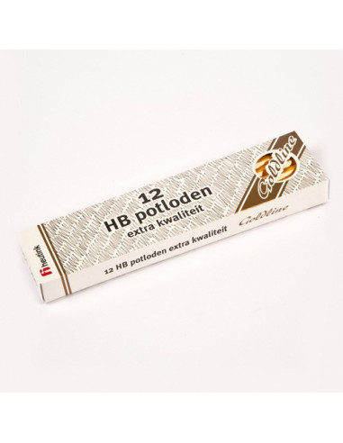 E061065,Set 12 creioane Goldline HB din lemn galben - Heutink
