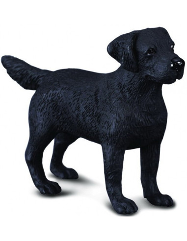 COL88076M,Figurina Labrador Retriever M Collecta