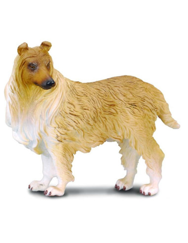 COL88191L,Collie cu par sarmos L Collecta