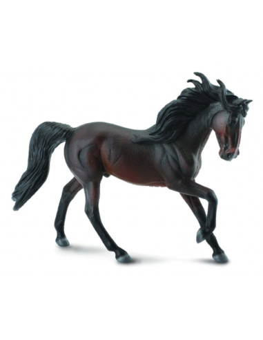 COL88463XL,Murg Andaluz