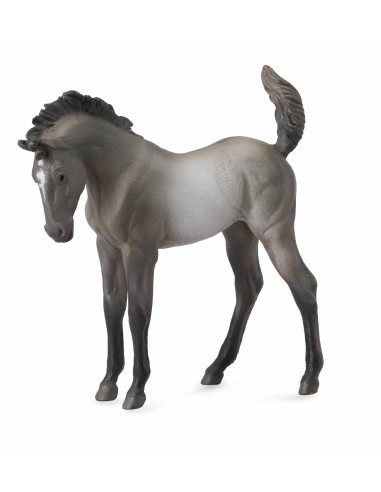 COL88546M,Mustang - Grulla manz