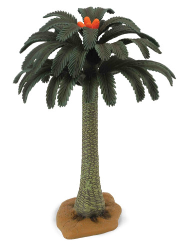 COL89332CB,Copac Cycad Collecta