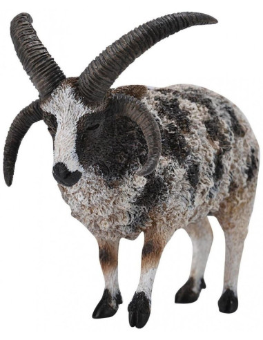 COL88728L,Figurina Jacob Sheep L Collecta