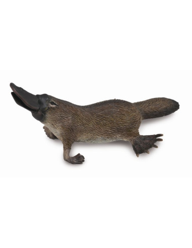 COL88795M,Figurina Platypus M Collecta