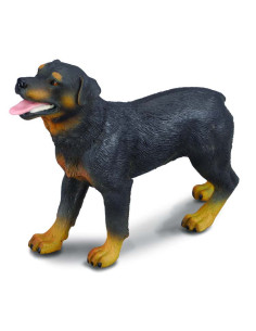 COL88189L,Rottweiler - Collecta