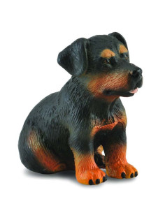 COL88190S,Catelus Rottweiler - Collecta