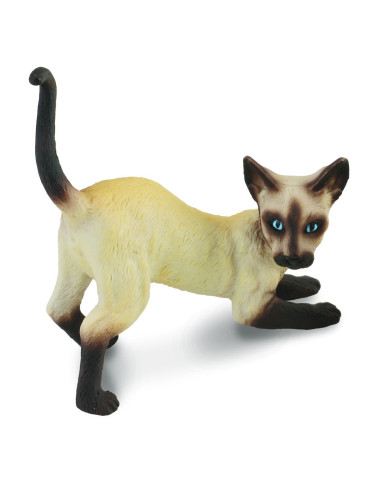 COL88332S,Pisica siameza - Collecta