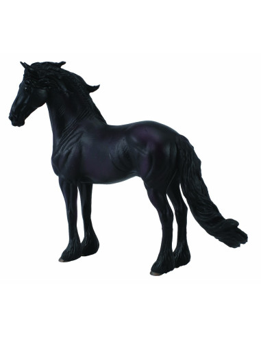 COL88439XL,Armasar Friesian - Collecta
