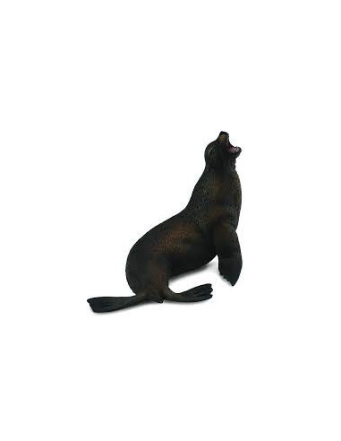 COL88454L,Leu de mare- Collecta