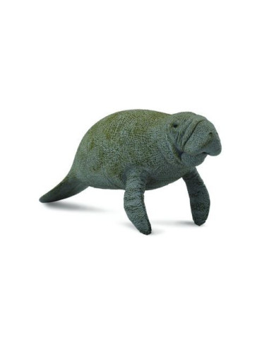 COL88455L,Lamantinul - Collecta