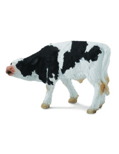 COL88484S,Friesian Pui - Collecta