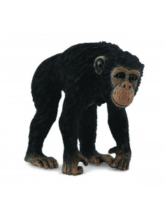 COL88493M,Cimpanzeu Femela - Collecta