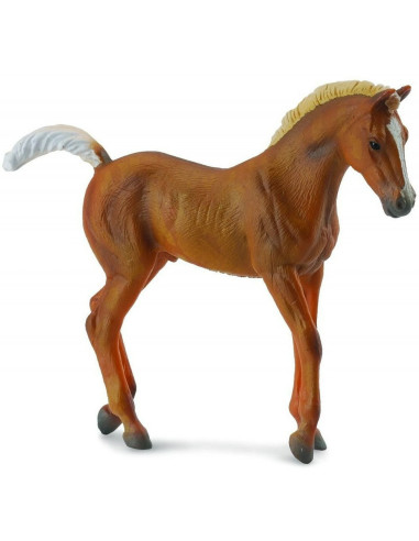 COL89529WB,Set 5 figurine Cai - Collecta