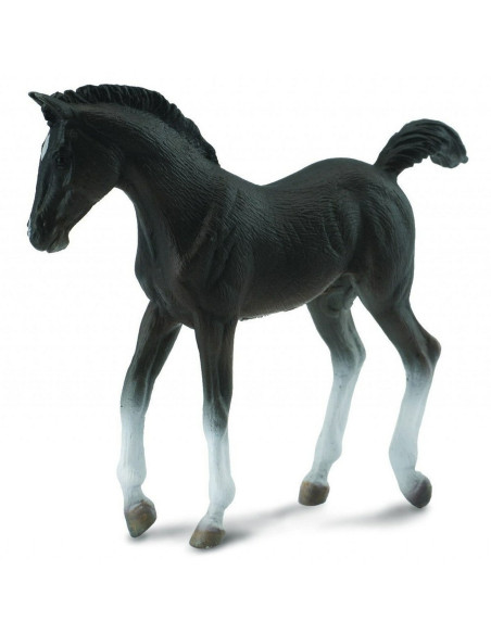 COL89529WB,Set 5 figurine Cai - Collecta