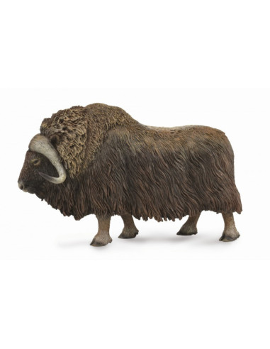 COL88837L,Bivol - Collecta