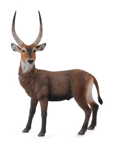 COL88562L,Antilopa africana- Collecta