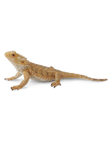 COL88567L,Figurina Soparla Dragon cu barba L Collecta