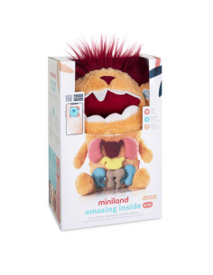 ML75012,Joc educativ pentru invatarea organelor corpului uman 2