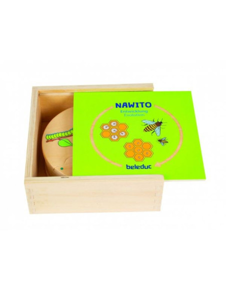 BEL11570,Joc din lemn Ciclul vietii