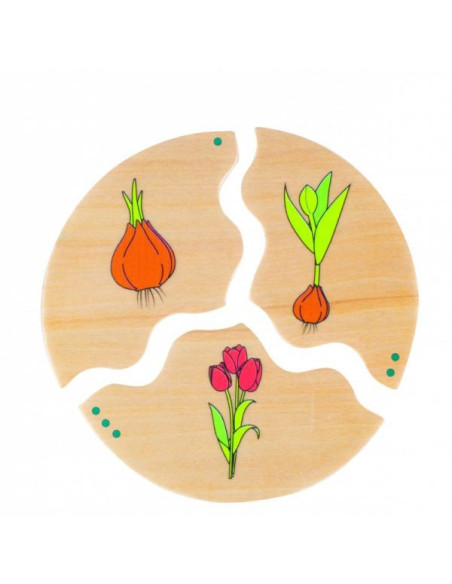 BEL11570,Joc din lemn Ciclul vietii
