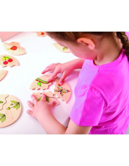 BEL11570,Joc din lemn Ciclul vietii