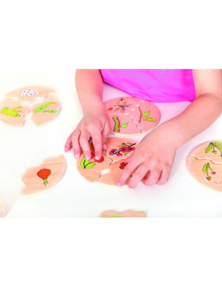 BEL11570,Joc din lemn Ciclul vietii