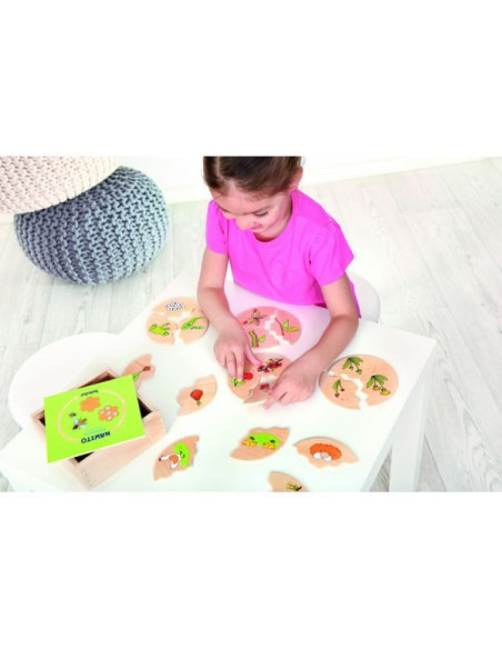 BEL11570,Joc din lemn Ciclul vietii